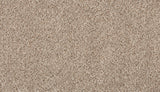 Mohawk Assorted Elements II Carpet