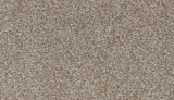 Mohawk Apricity Carpet