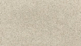 Mohawk Paw Pathway Carpet