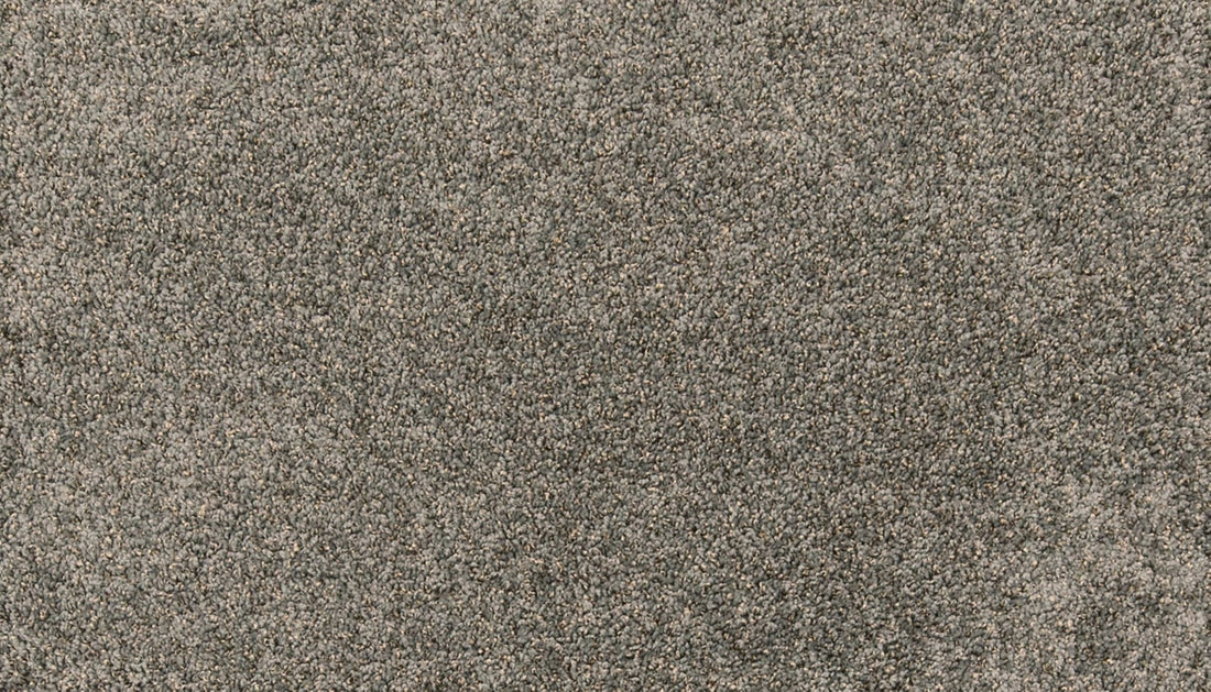 Mohawk Paw Pathway Carpet