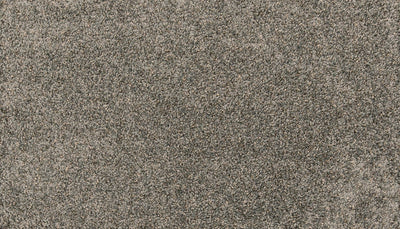 Mohawk Paw Pathway Carpet