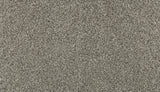 Mohawk Olympus I Carpet