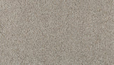 Mohawk Olympus III Carpet