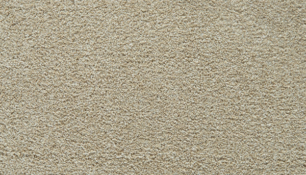 Mohawk Gentle Guardian IV Carpet