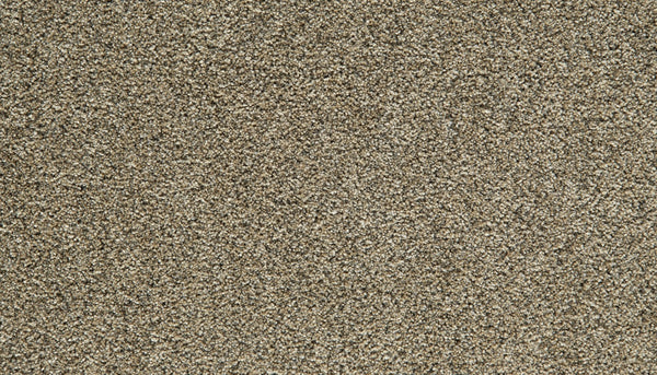 Mohawk Cozy Companion II Carpet