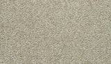 Mohawk Cozy Companion IV Carpet