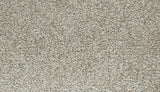 Mohawk Cozy Companion IV Carpet