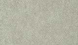 Mohawk Apollo III Carpet