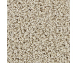 Mohawk Winning Hand III Carpet