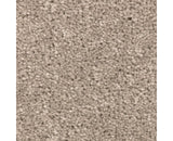 Mohawk Treasure Valley Carpet