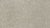 Mohawk Tonal Allure II Carpet