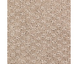 Mohawk Graceful Manner Carpet