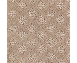 Mohawk Design Inspiration Carpet