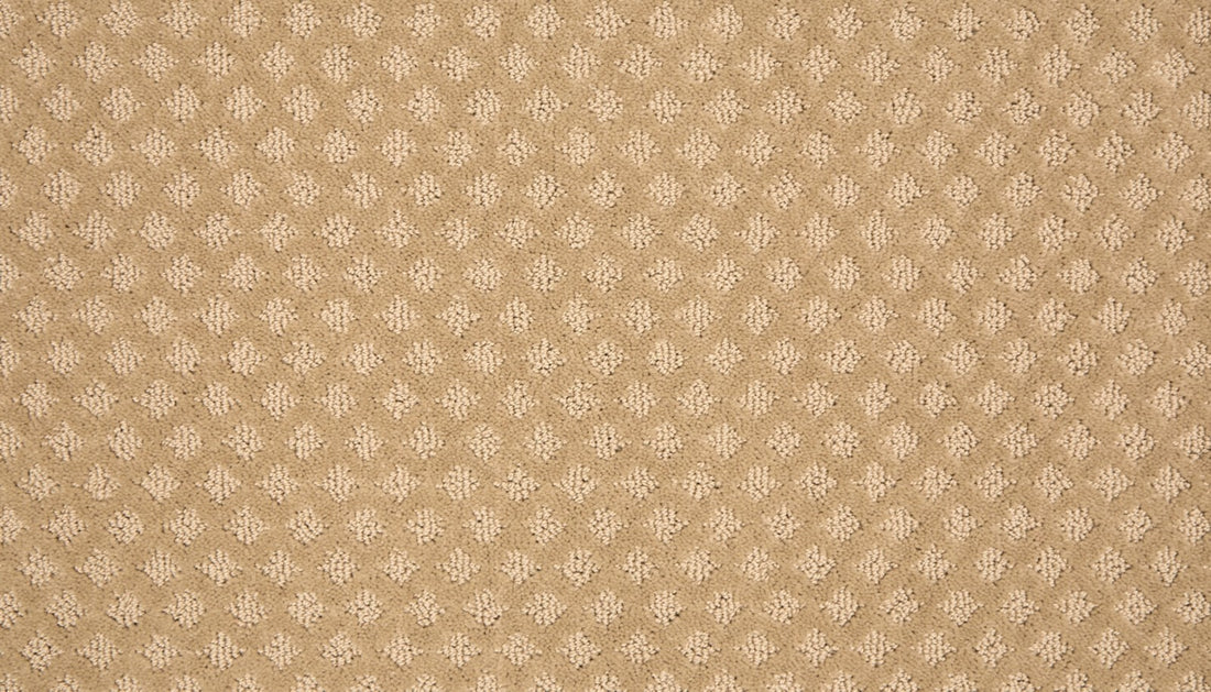Mohawk Retro Reminisce Carpet
