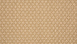 Mohawk Retro Reminisce Carpet