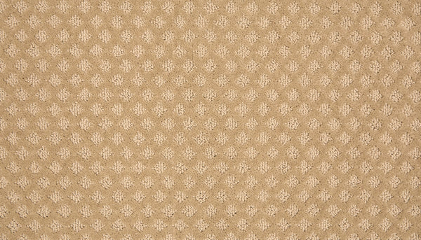 Mohawk Retro Reminisce Carpet