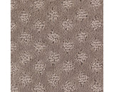 Mohawk Design Inspiration Carpet
