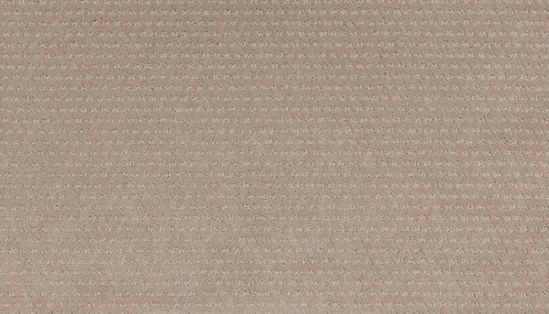 Mohawk Natural Intuition Carpet