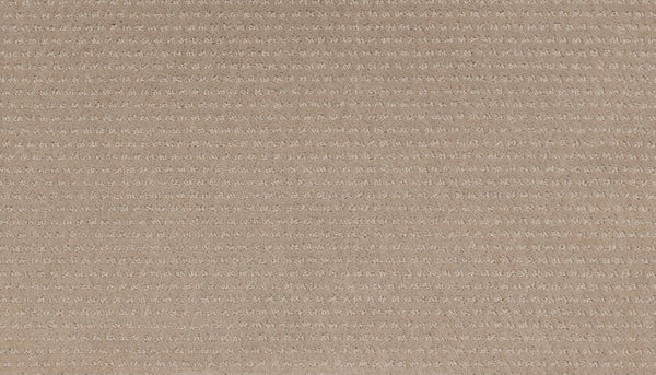Mohawk Natural Intuition Carpet