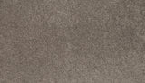 Mohawk Tender Moment II Carpet