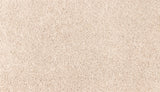 Mohawk Easy Purpose Carpet