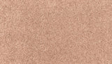 Mohawk Easy Purpose Carpet