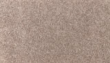Mohawk Easy Purpose Carpet