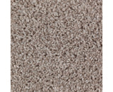 Mohawk Authentic Escape Carpet