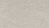 Mohawk Authentic Voice Carpet