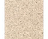 Mohawk Natural Splendor II Carpet