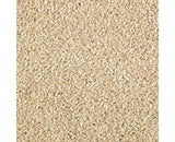 Mohawk Natural Refinement II Carpet
