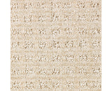 Mohawk Ultimate Image Carpet