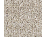 Mohawk Ultimate Image Carpet