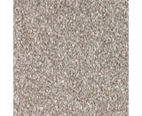 Mohawk True Unity Carpet