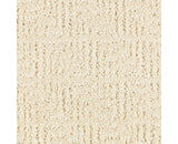 Mohawk Natural Treasure Carpet