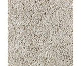 Mohawk Perfect Attraction Carpet