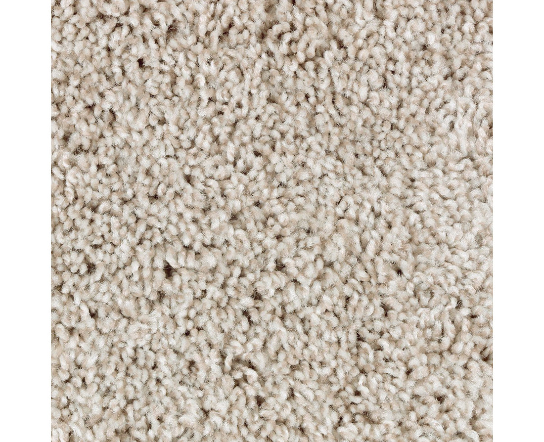 Mohawk Perfect Attraction Carpet