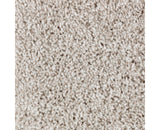 Mohawk Perfect Attraction Carpet