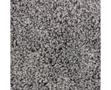 Mohawk Perfect Attraction Carpet