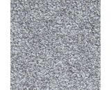 Mohawk Noteworthy Selection Carpet