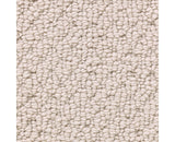 Mohawk Tailored Essence Carpet