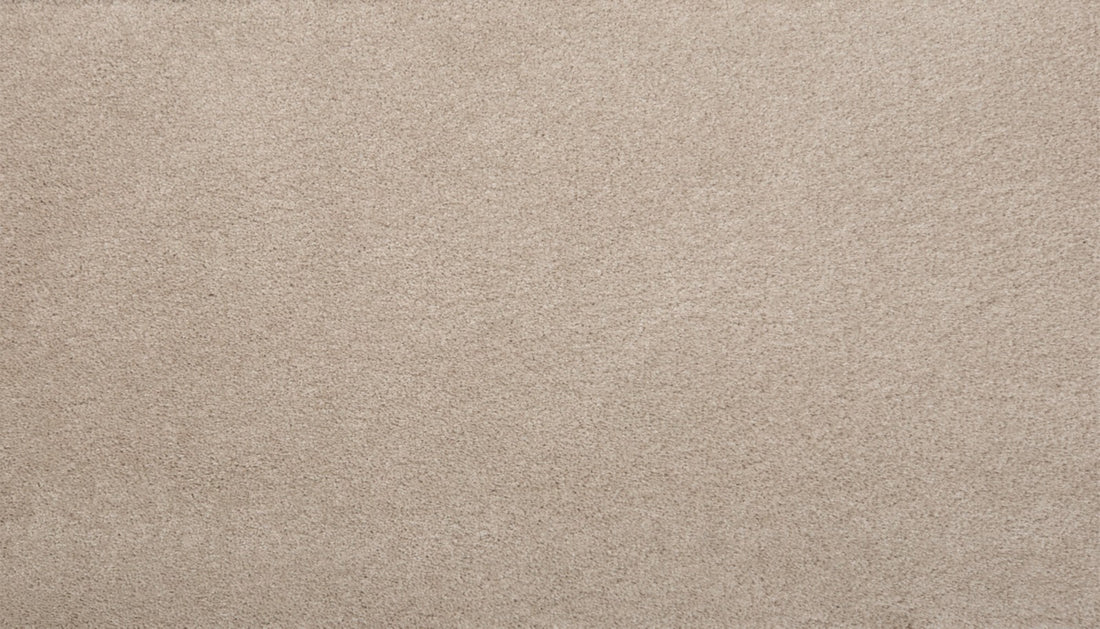 Mohawk Pleasant Touch Carpet