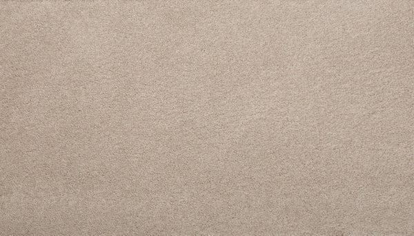 Mohawk Pleasant Touch Carpet