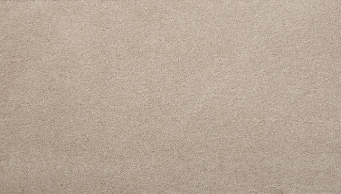 Mohawk Pleasant Touch Carpet