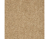 Mohawk Pleasant Touch Carpet