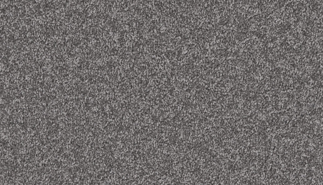 Mohawk Exceptional Choice Carpet