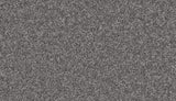 Mohawk Exceptional Choice Carpet