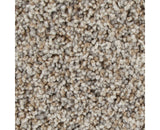 Mohawk Color Fusion I Carpet