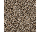 Mohawk Color Fusion II Carpet