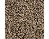 Mohawk Color Fusion II Carpet